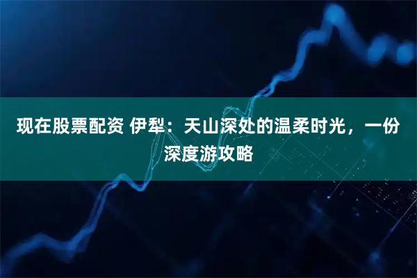 现在股票配资 伊犁：天山深处的温柔时光，一份深度游攻略